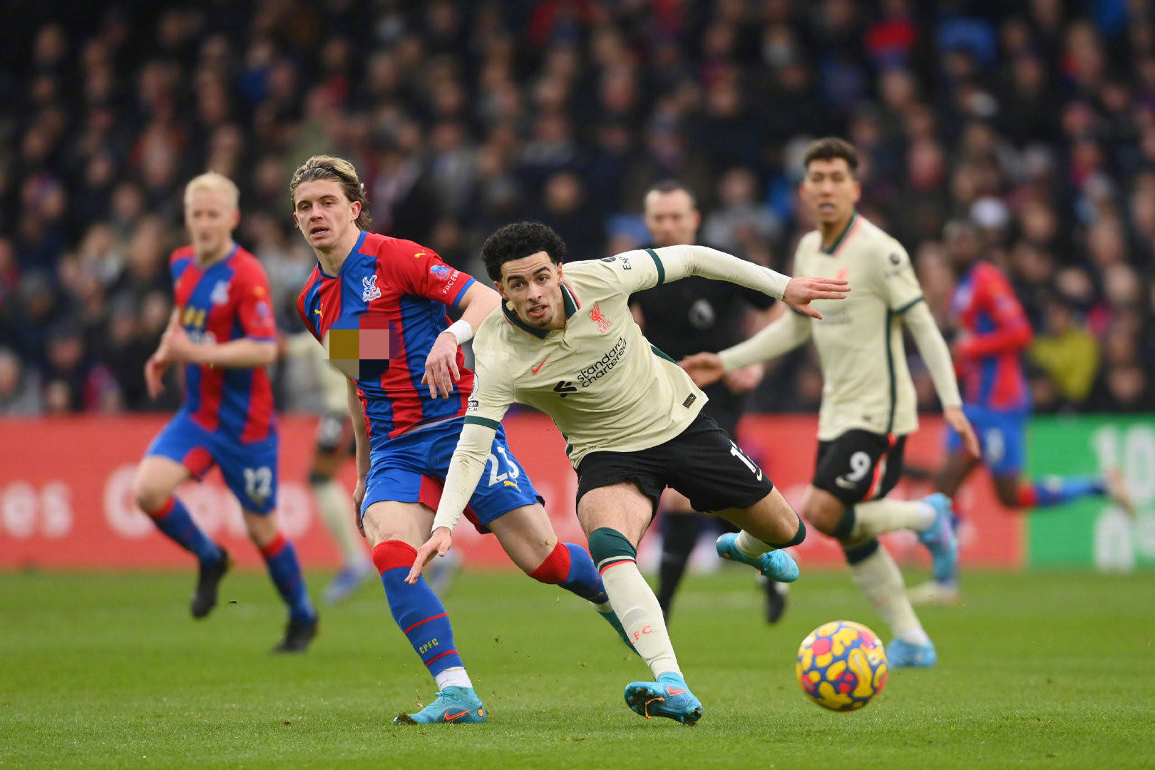 在高水平的 在高水平的